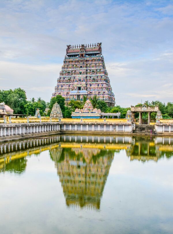 naveen-raj-dhanapal-kNNCC-tF6IQ-unsplash